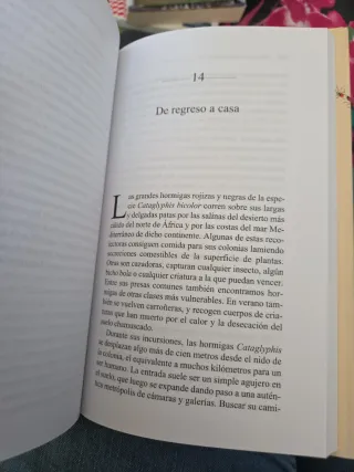 Historias del mundo de las hormigas