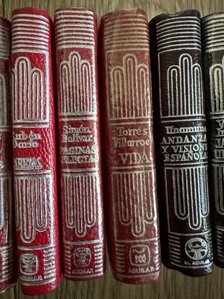 Lote 20 Crisolin Aguilar