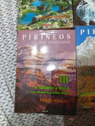 Pirineos I - 1000 ascensiones. De Hendaya a Som...
