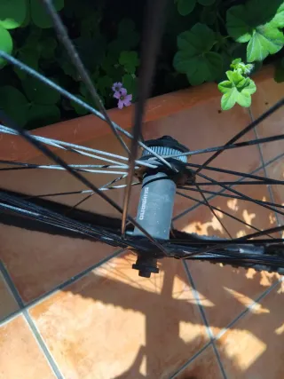 Llanta MTB orbea 29" con cámara y neumático Kenda