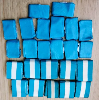 24 Medallas de San Luis Gonzaga