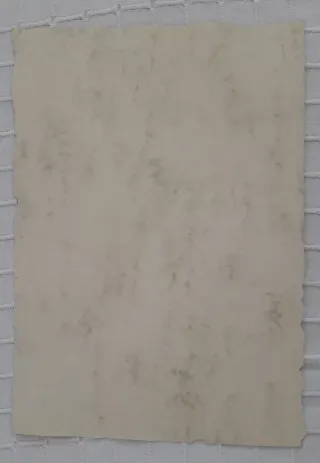 Obra de arte original firmada 2010