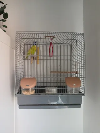 Jaula para periquitos