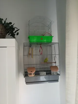 Jaula para periquitos