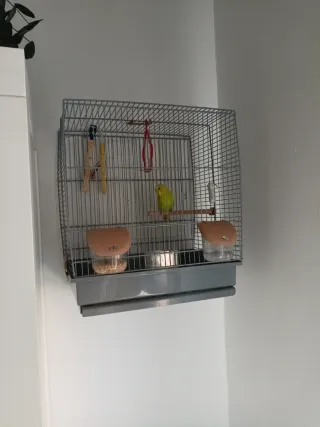 Jaula para periquitos