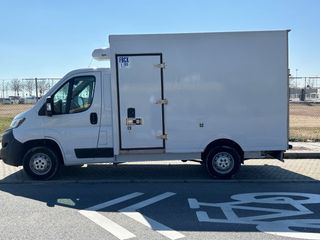 DUCATO FRIGORIFICA BARATA