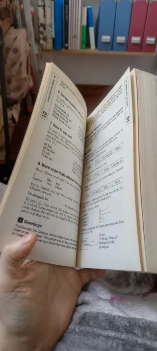 Teach Yourself Beginner's Mandarin Chinese