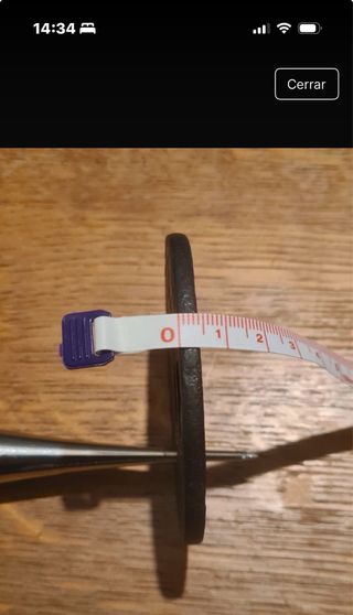 Tsuba japonesa antigua Edo con sekigane