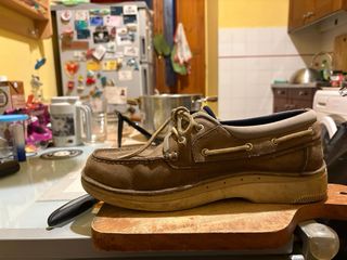 Scarpe Timberland Beige/Marrone Tg 45