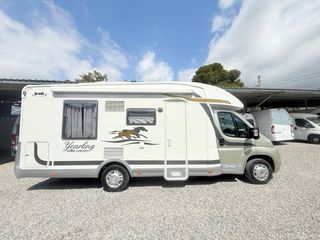 Fiat isla  y suspendida Yearling Edición Limitada