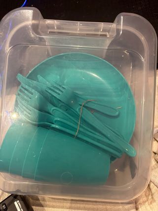 Platos/cubiertos de plástico duro