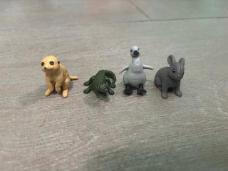 Set 4 Animali Natoons