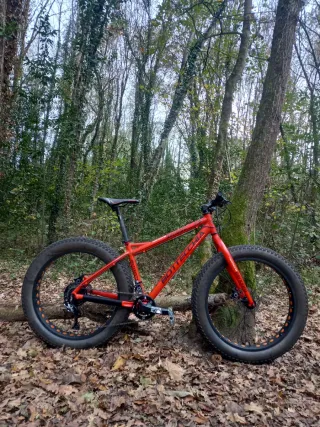 Bicicleta Fat Bike Bottecchia