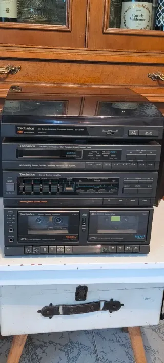 Minicadena Technics SL-JS10R