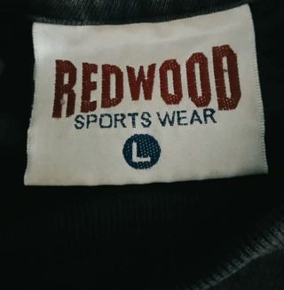 Camiseta Bruce Dickinson Accident of Birth Vintage