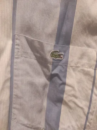 Camisas de marca Massimo Dutti, lacoste, levis...