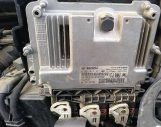 Rodamientos tambor freno trasero citroen c3 338867