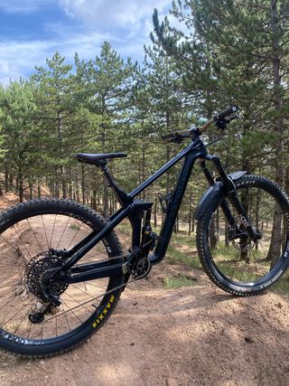 Canyon Strive M Shape Shifter Rockshox