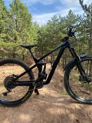 Canyon Strive M Shape Shifter Rockshox
