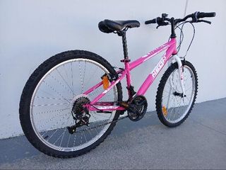 Neon Bike 24" Rosa