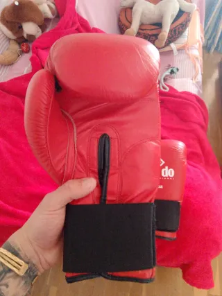 Guantes de Boxeo Dae Do 14 oz Rojos