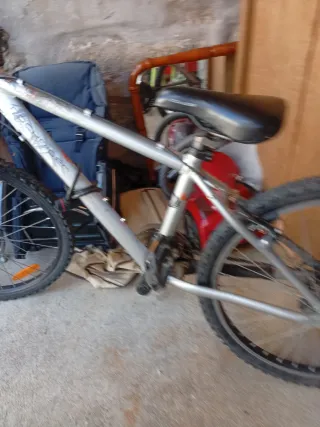 Bicicleta de Montaña