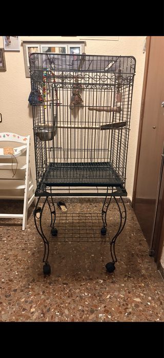 Jaula Ninfas con Soporte