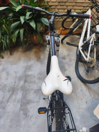 Bicicleta Montaña Orbea Negra