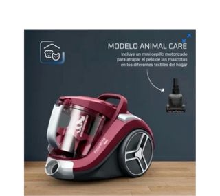 Aspirador Trineo Rowenta RO4B63 900W