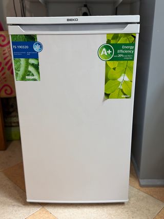Frigorífico pequeño Beko TS 190320