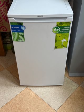 Frigorífico pequeño Beko TS 190320