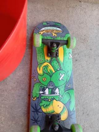 Patineta de skater