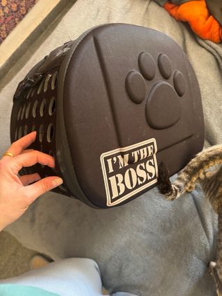 2 Transportín para gato con huella y I'M THE BOSS