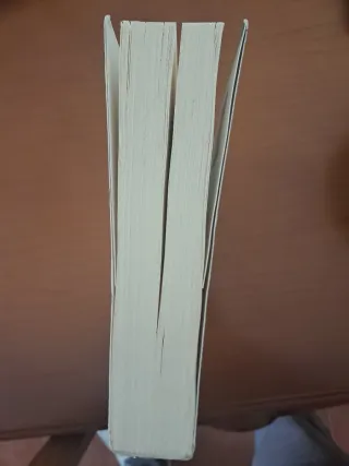 El proceso terapéutico: Ensayos y conferencias