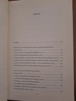 El proceso terapéutico: Ensayos y conferencias