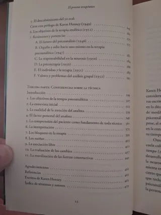 El proceso terapéutico: Ensayos y conferencias