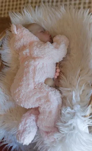 Bebé Reborn Rosa Peluche