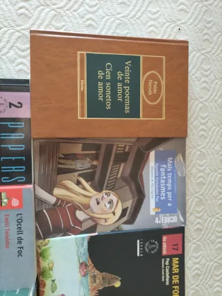 Lote de 7 libros en valenciano y español