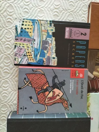 Lote de 7 libros en valenciano y español