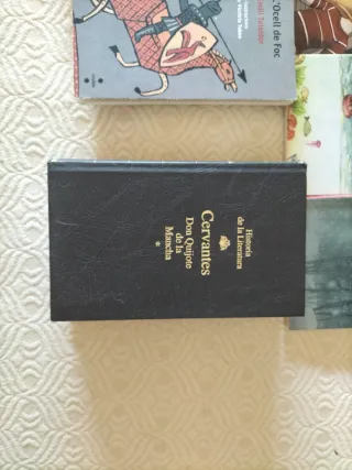 Lote de 7 libros en valenciano y español