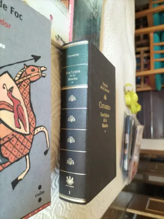 Lote de 7 libros en valenciano y español