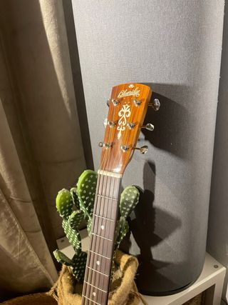 Guitarra Blueridge BR43