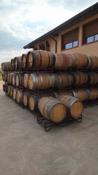 Barricas de madera para jardinería o vino