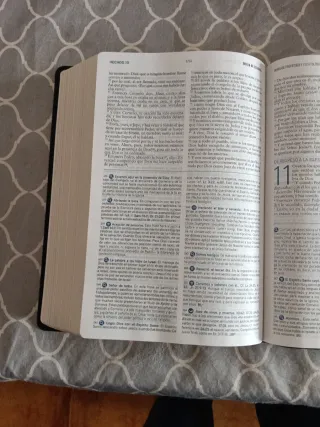 Biblia de estudio mensaje profetico y escatológico