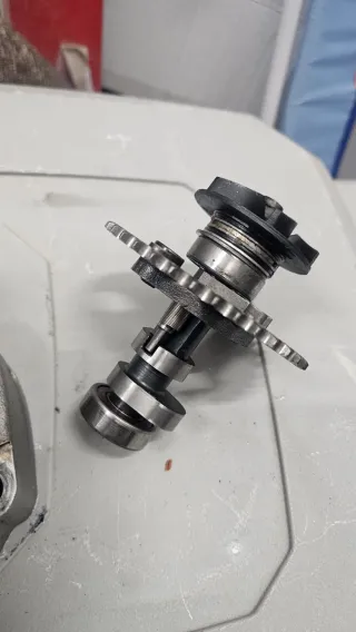 Árbol de levas con engranaje y rodamientos