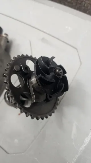 Árbol de levas con engranaje y rodamientos