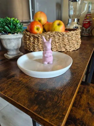 Piatto decorativo con coniglietto rosa