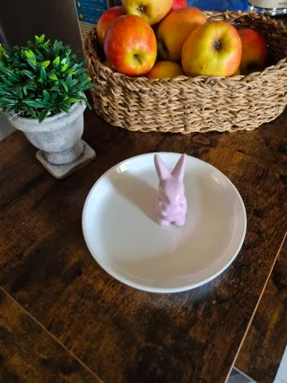 Piatto decorativo con coniglietto rosa