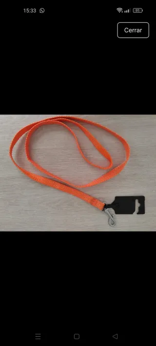 Correa para mascotas naranja