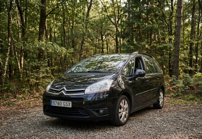 Citroën Grand C4 2010